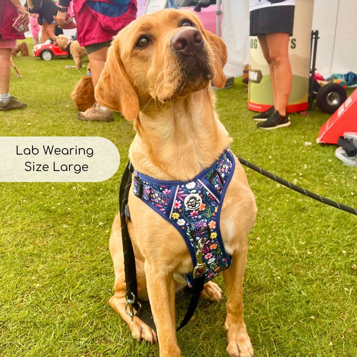 Summer Meadow No Pull Dog Harness