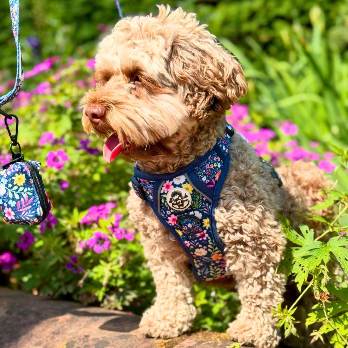 Summer Meadow No Pull Dog Harness