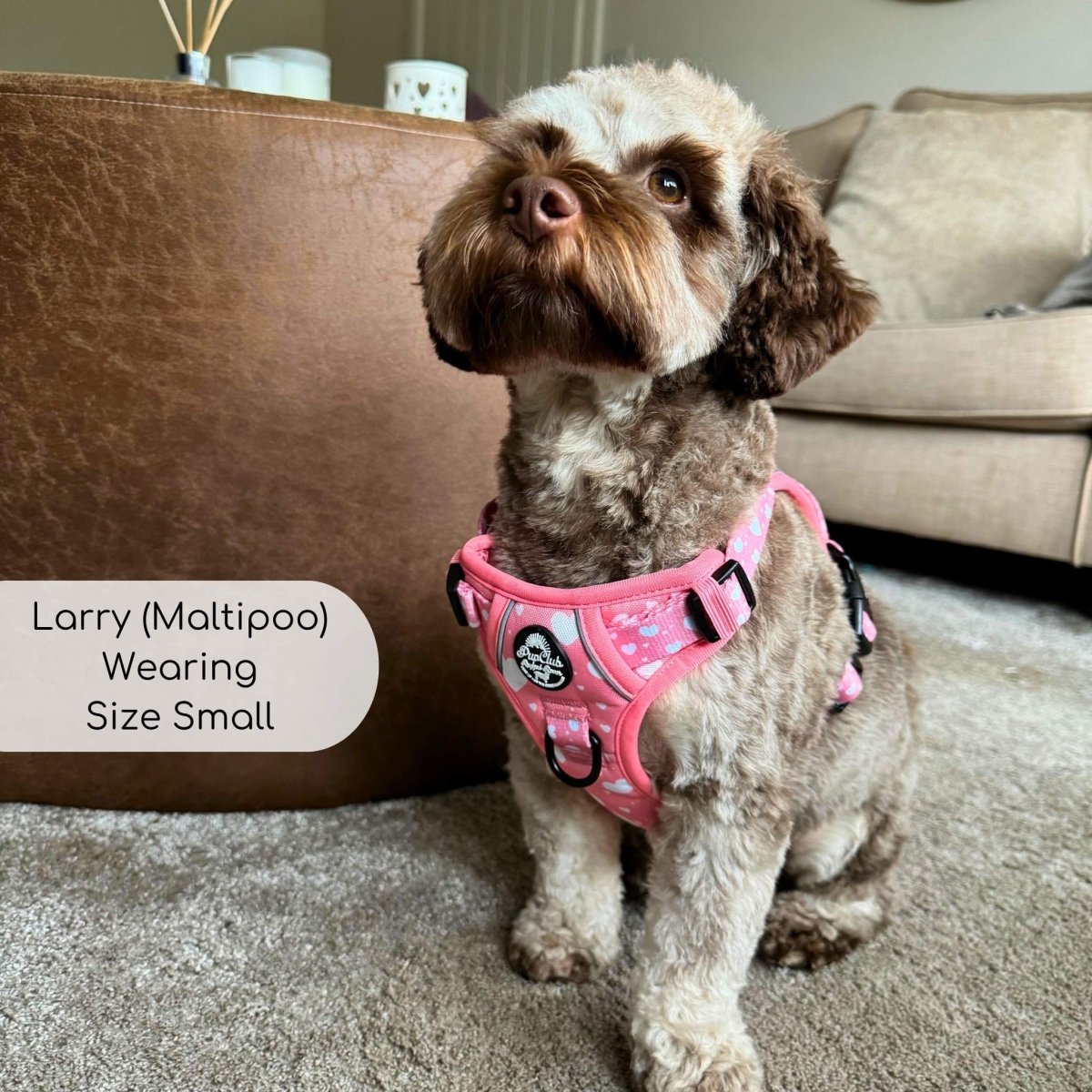 Rugged Rover Harness Peachy Hearts