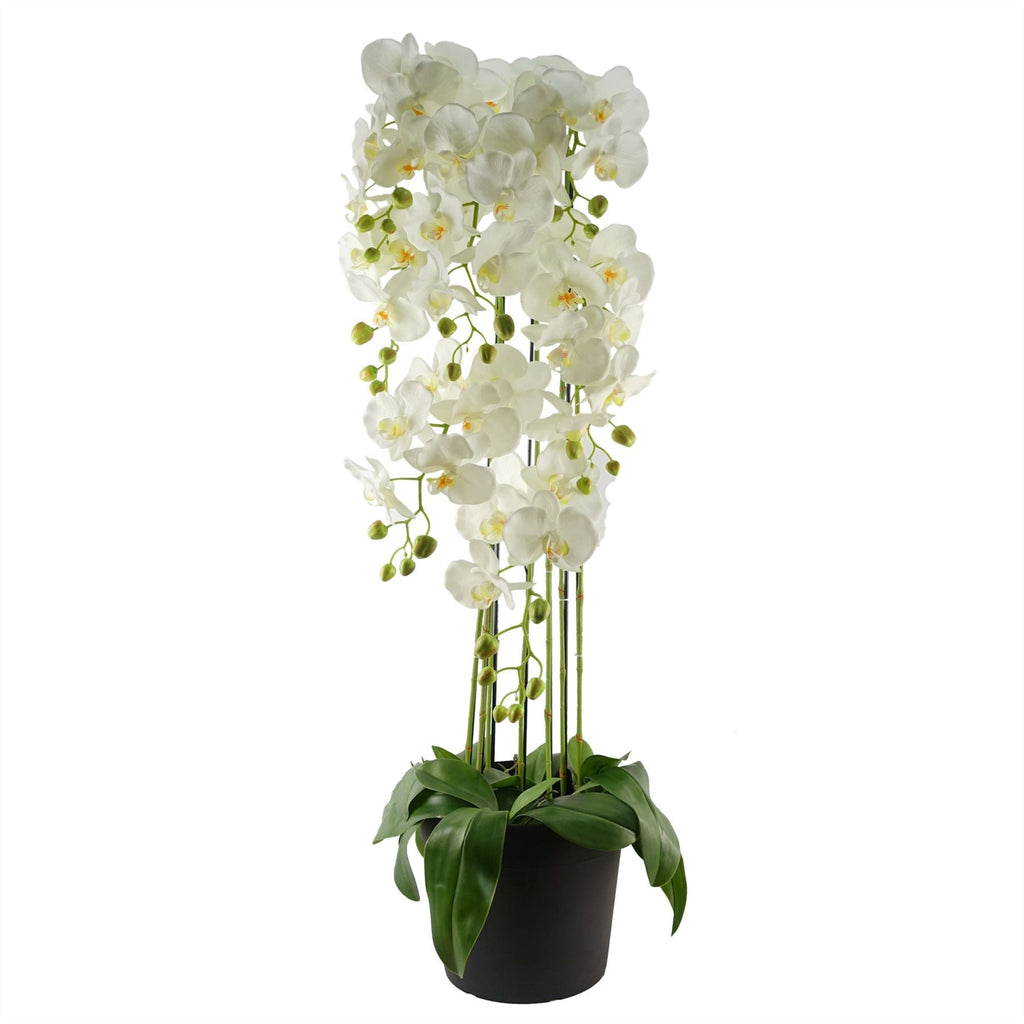 110cm Large White Orchid Plant with 41 Real Touch Flowers