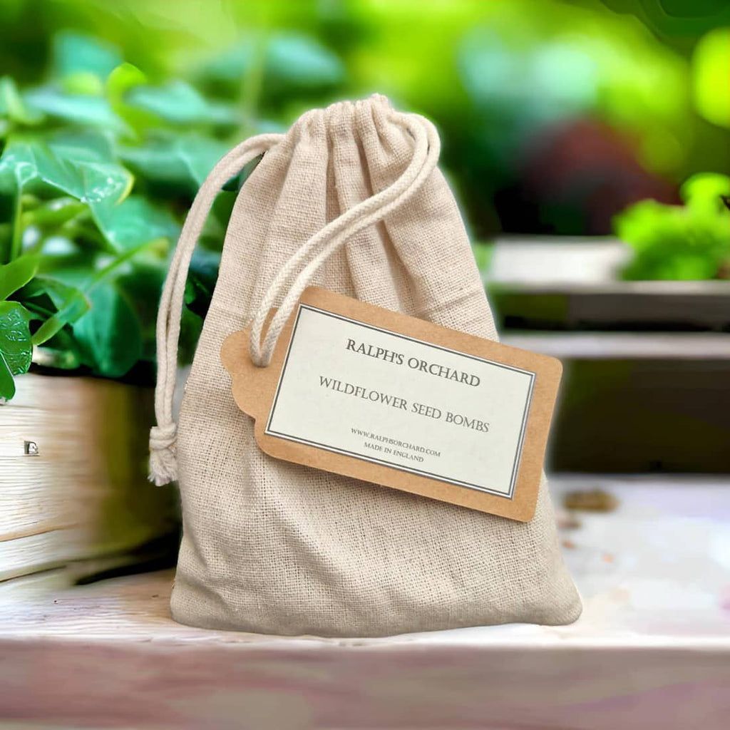 Bee and Butterfly Seed Bombs for Garden Wildflowers