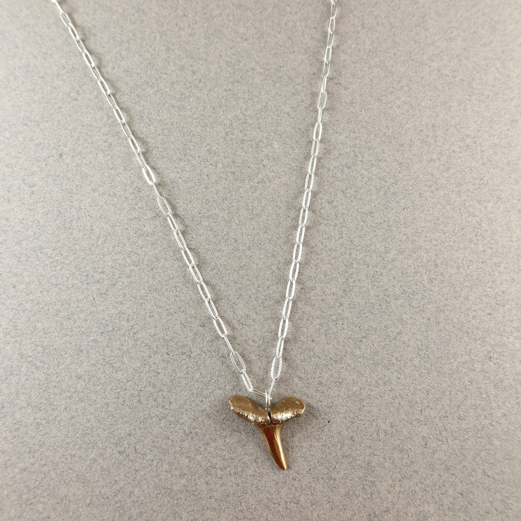 Lemon Sharks Tooth Necklace