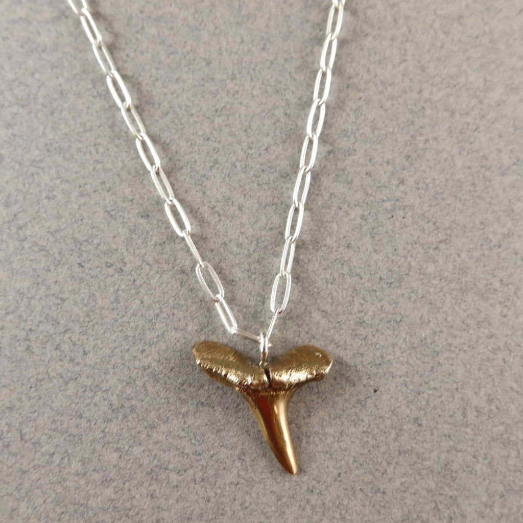 Lemon Sharks Tooth Necklace