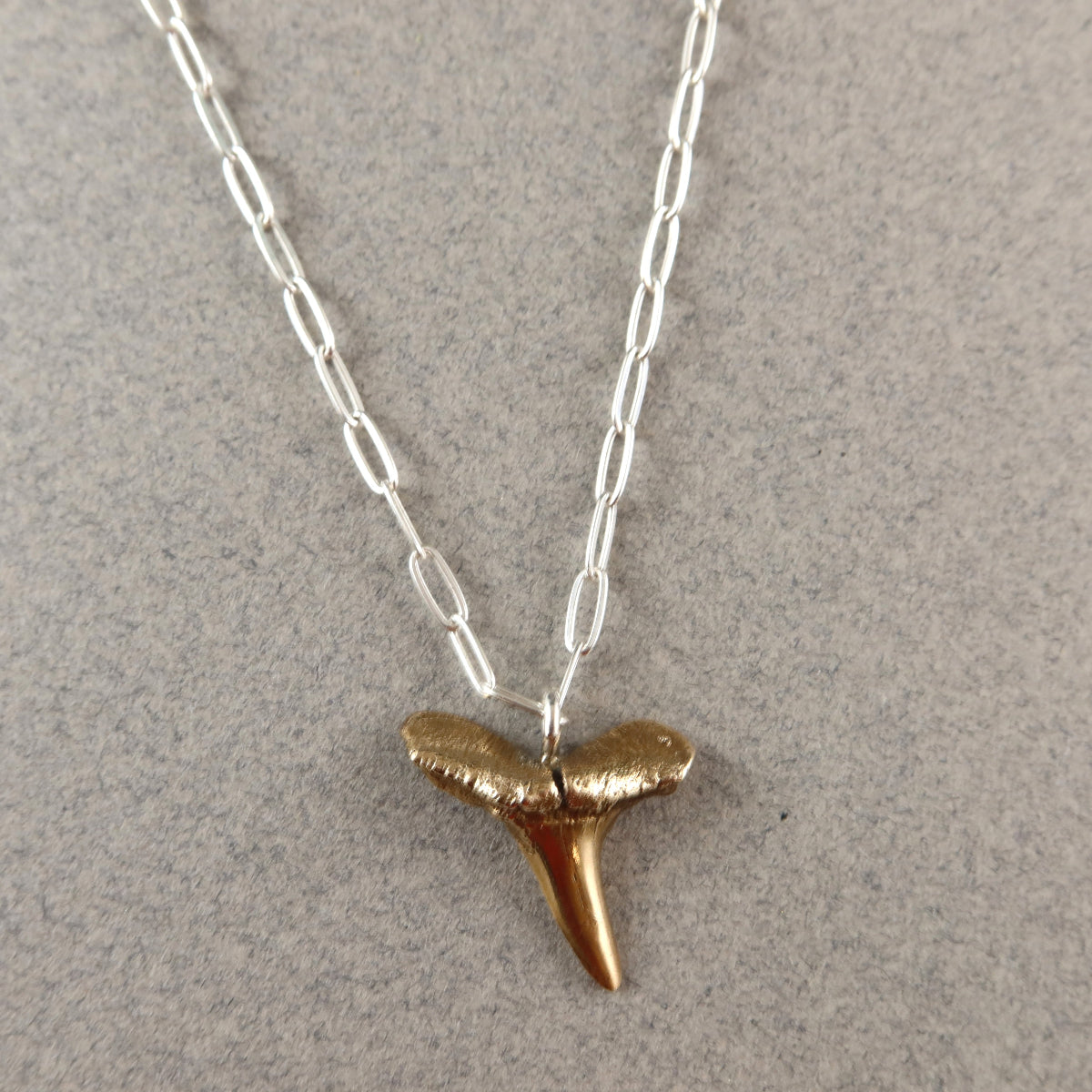 Lemon Sharks Tooth Necklace