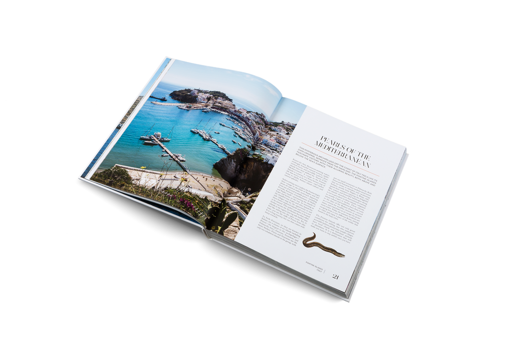 Voyager's Guide to Oceanic Getaways