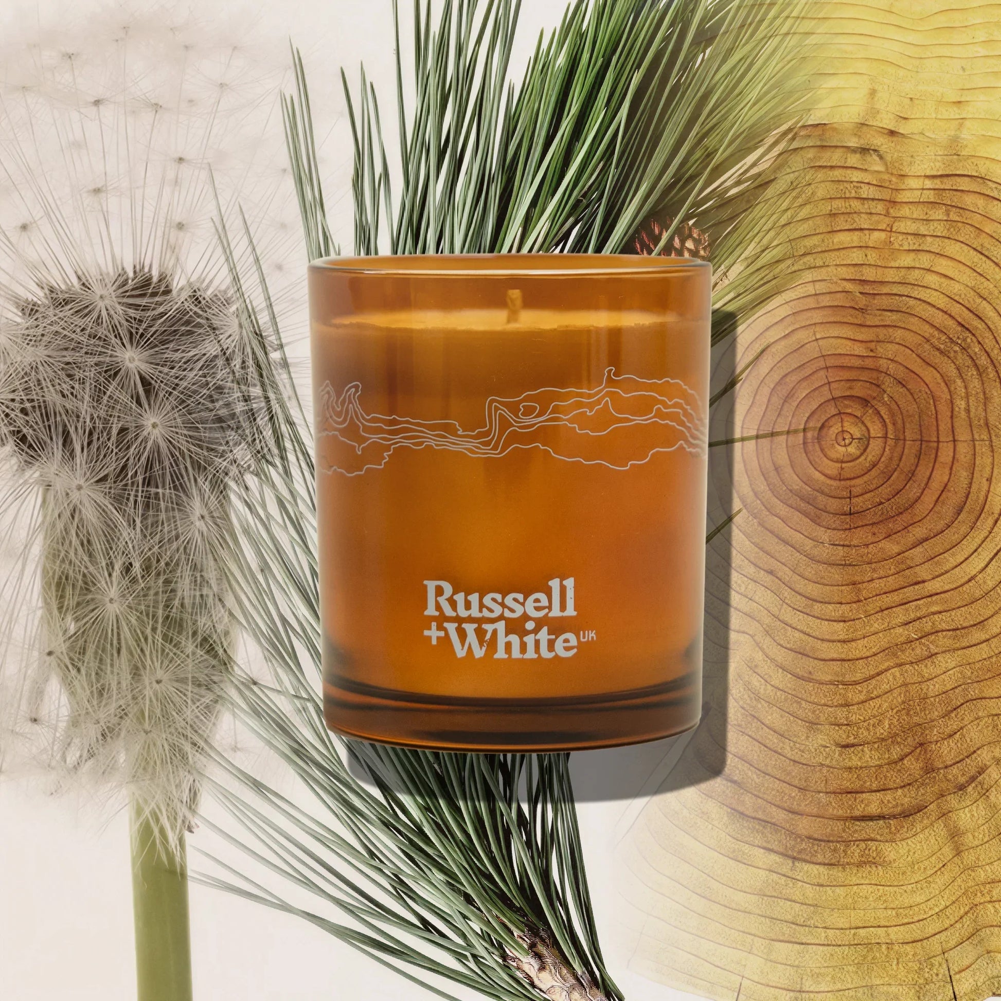 Sequoia 250g Scented Candle