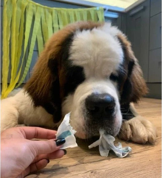 Heartbeat Christmas Dog Edible Card Chicken Flavour