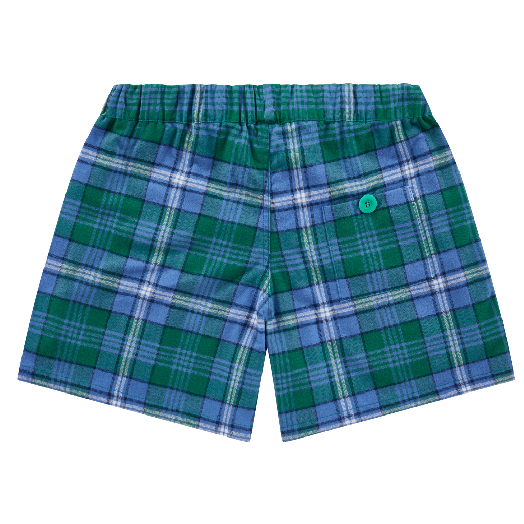 Unisex Green Sea Turtle Short Shorts