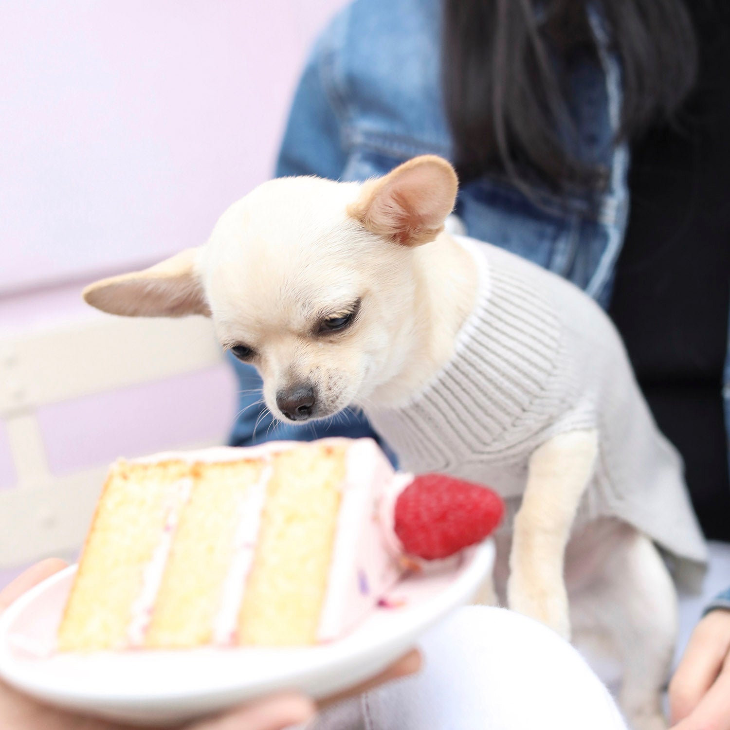 Stripe Hem Sleeveless Jumper