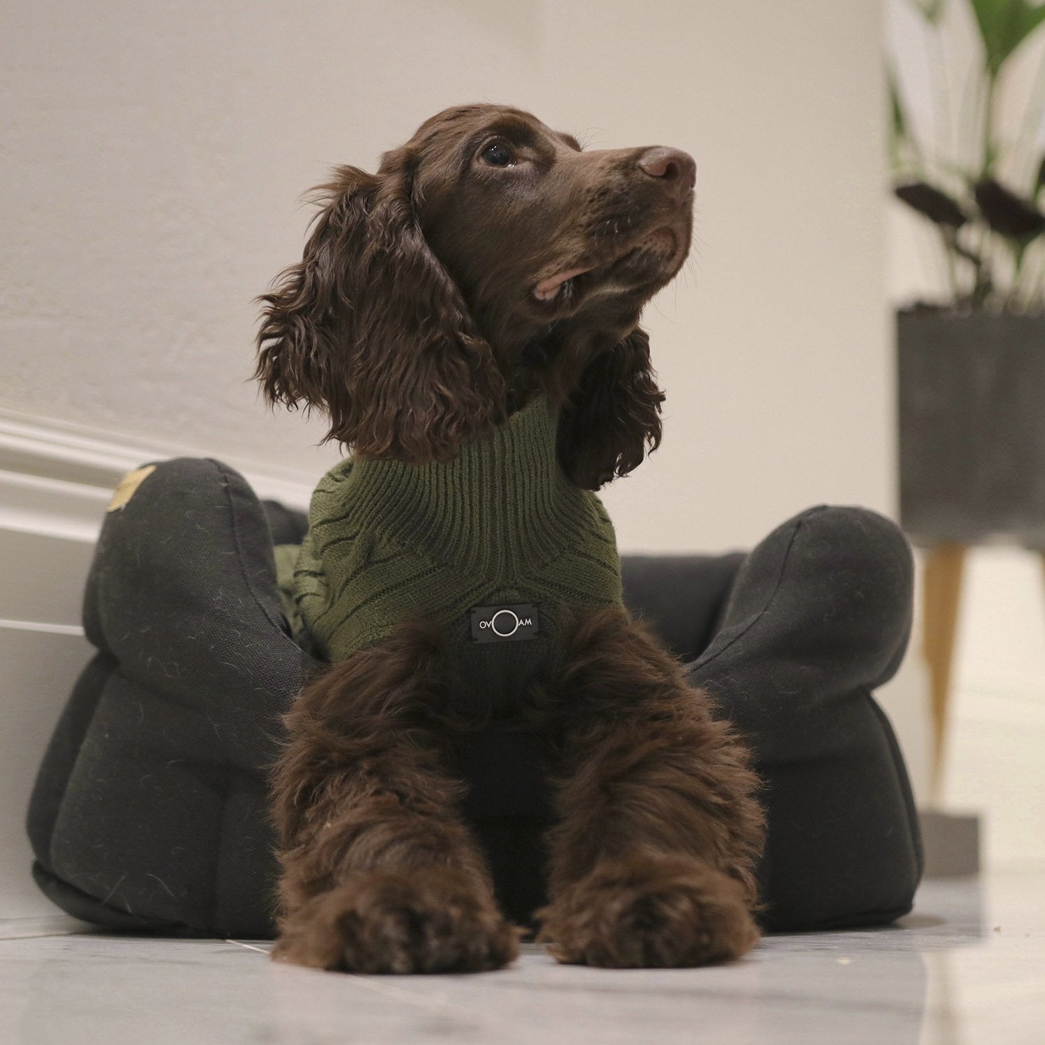 Classic Sleeveless Jumper in Soft Knitwear