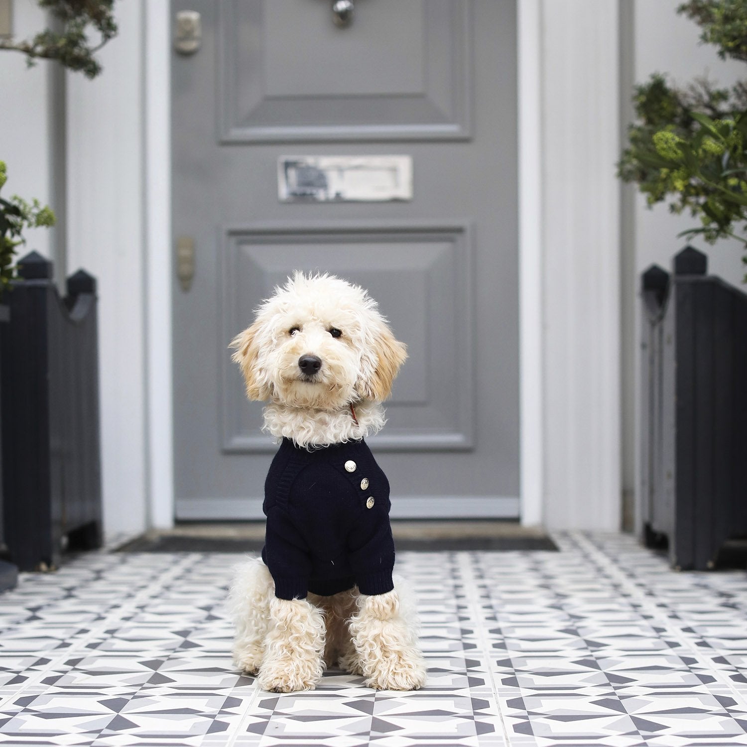 Button Jumper in Four Colours