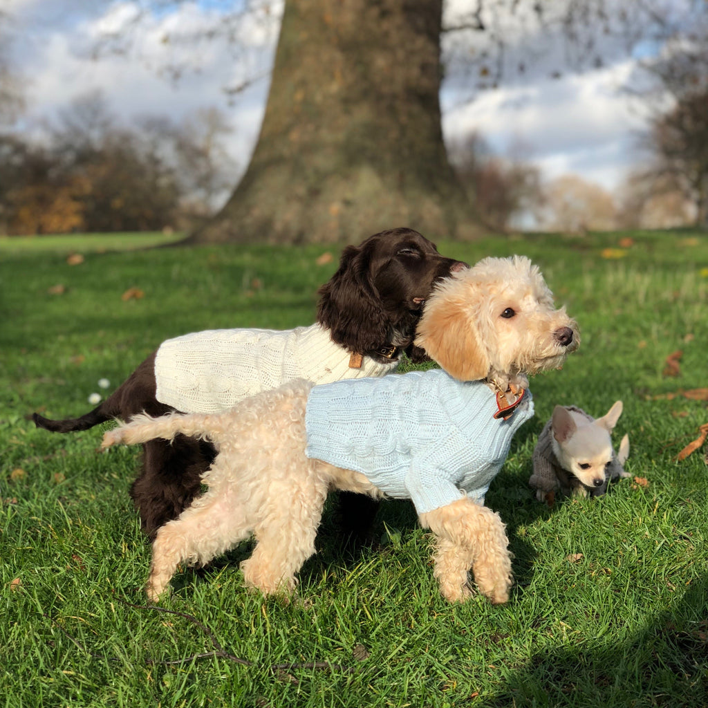 Cosy Turtleneck Knitwear