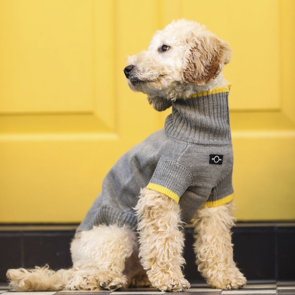 Contrast Turtleneck Jumper