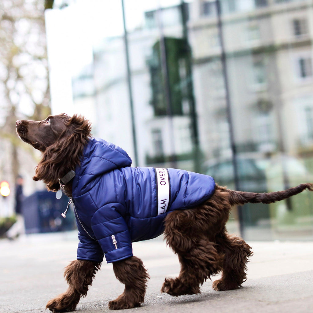 Navy Zip Up Puffer Jacket
