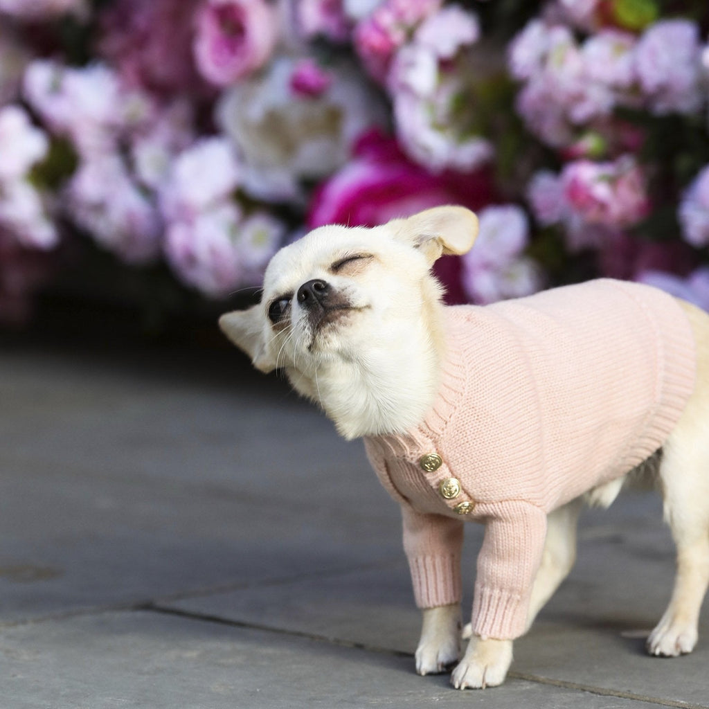Button Jumper in Four Colours
