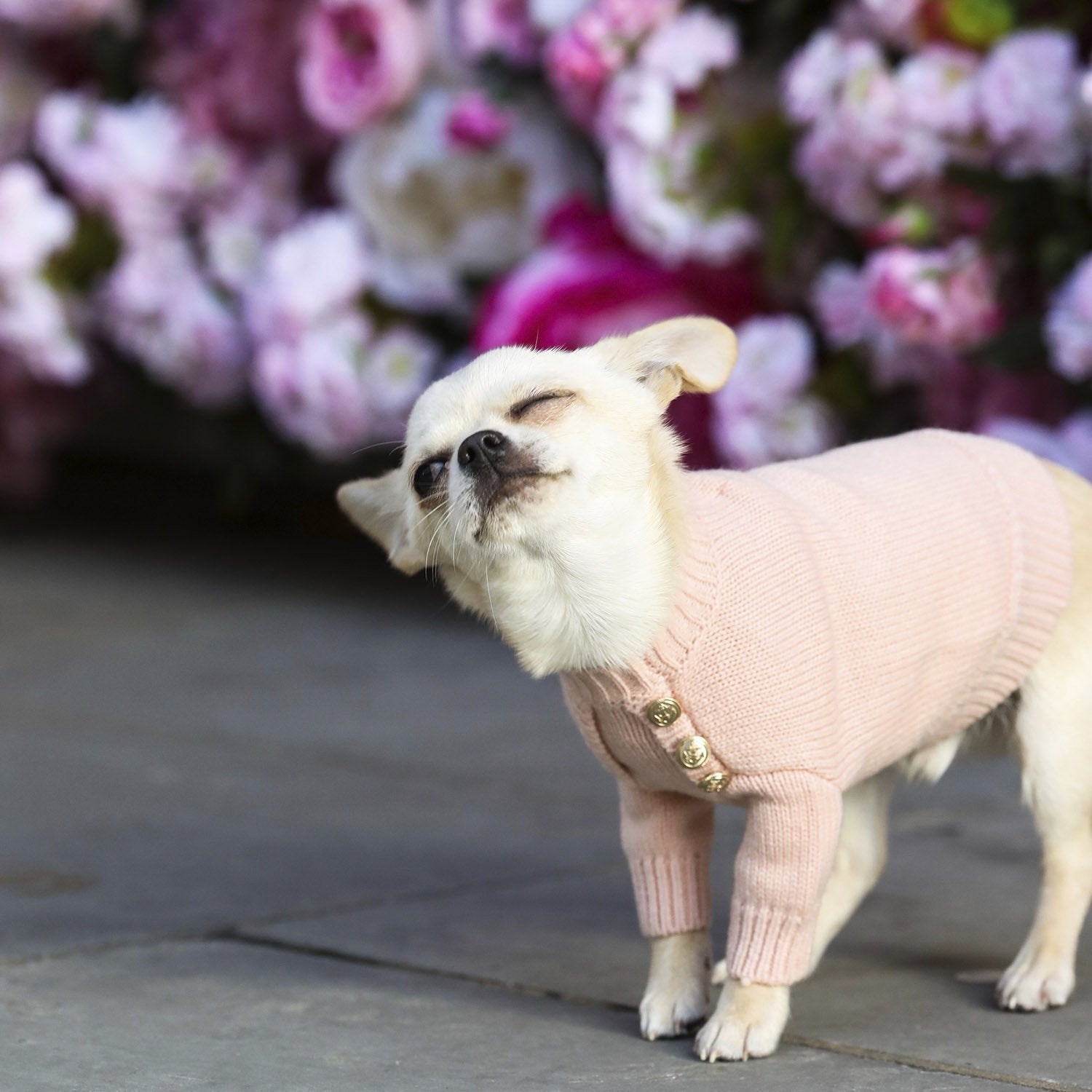 Button Jumper in Four Colours