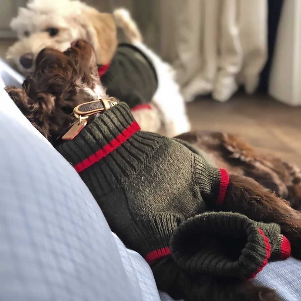 Contrast Turtleneck Jumper