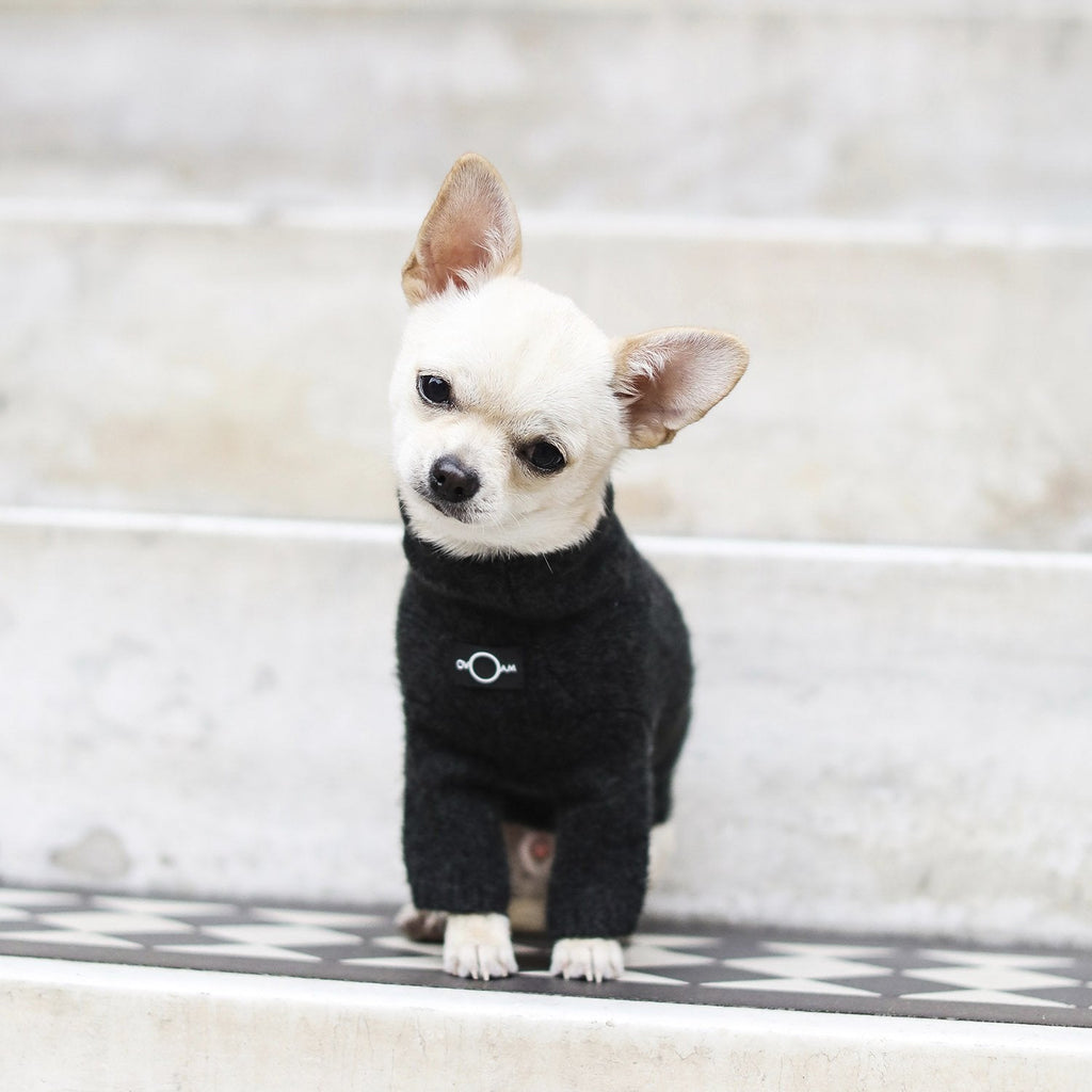 Cashmere Wool Turtleneck Sweater