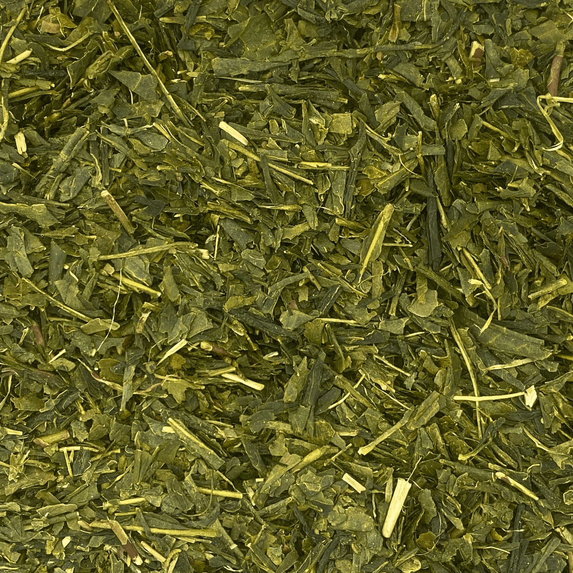 Sencha