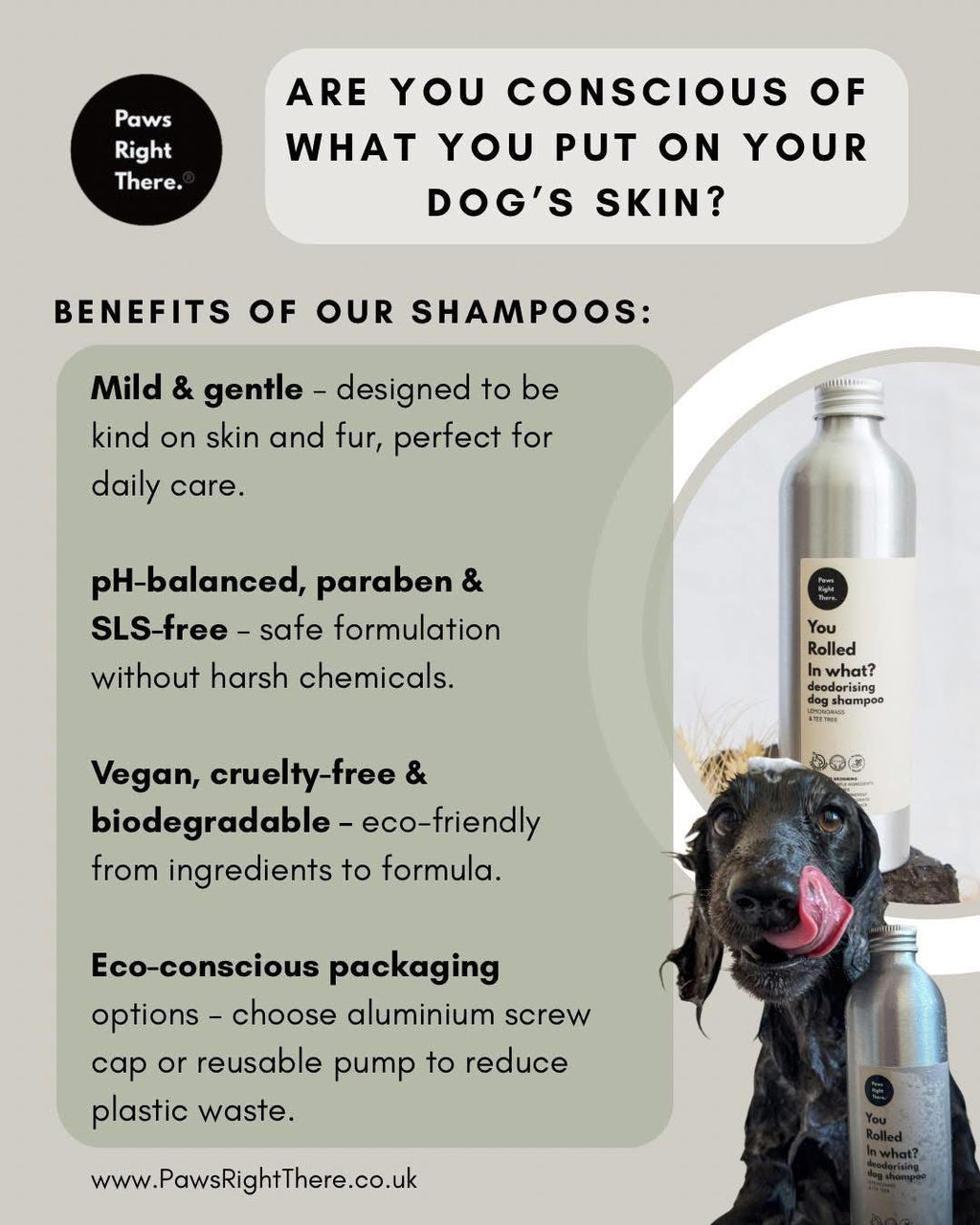 Soothing Itch Relief Shampoo for Dogs