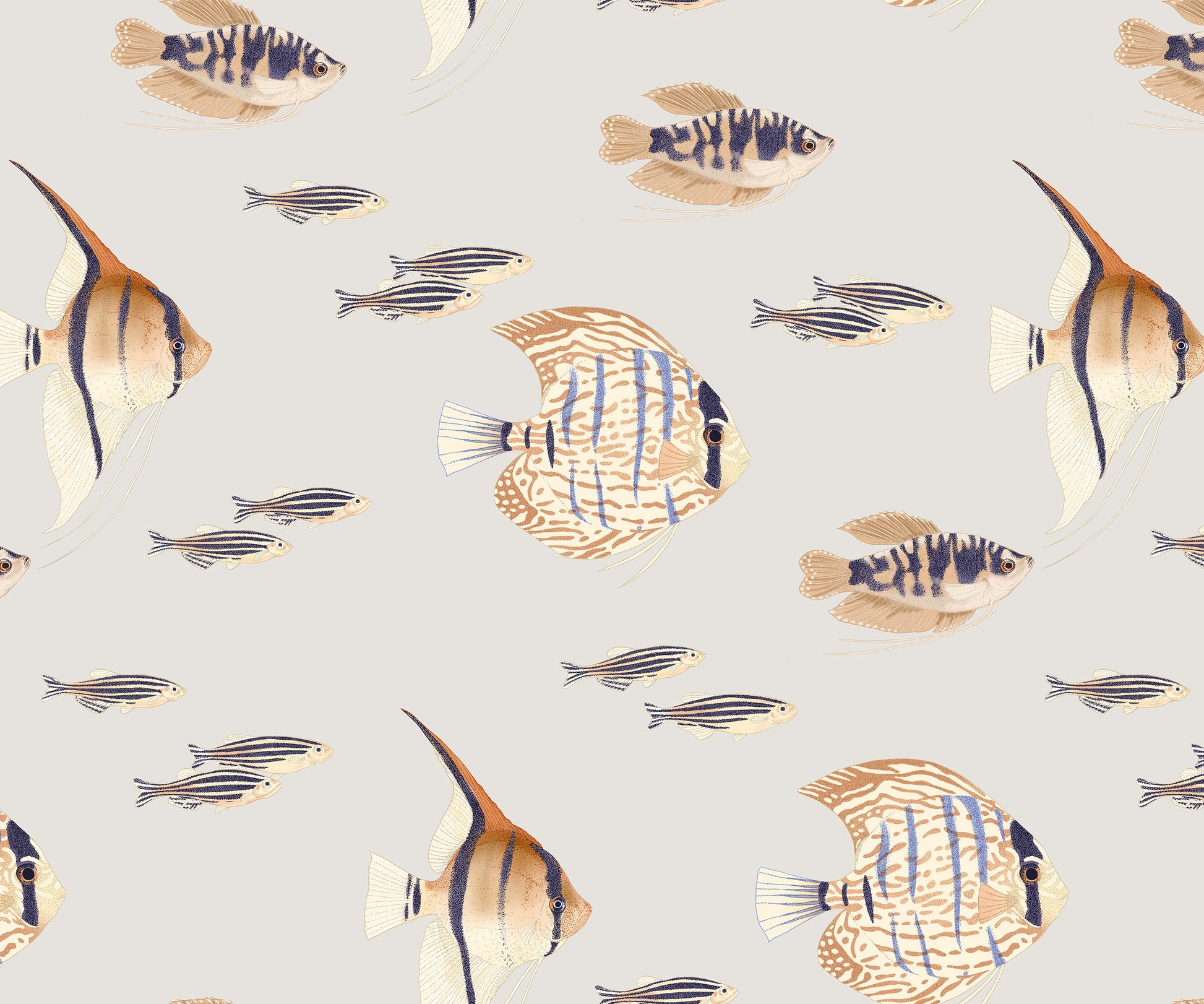 Shoal Fish Wallpaper