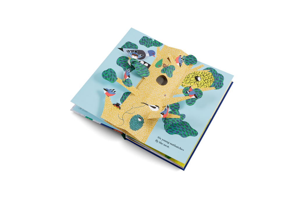 Six Little Birds Pop Up Book
