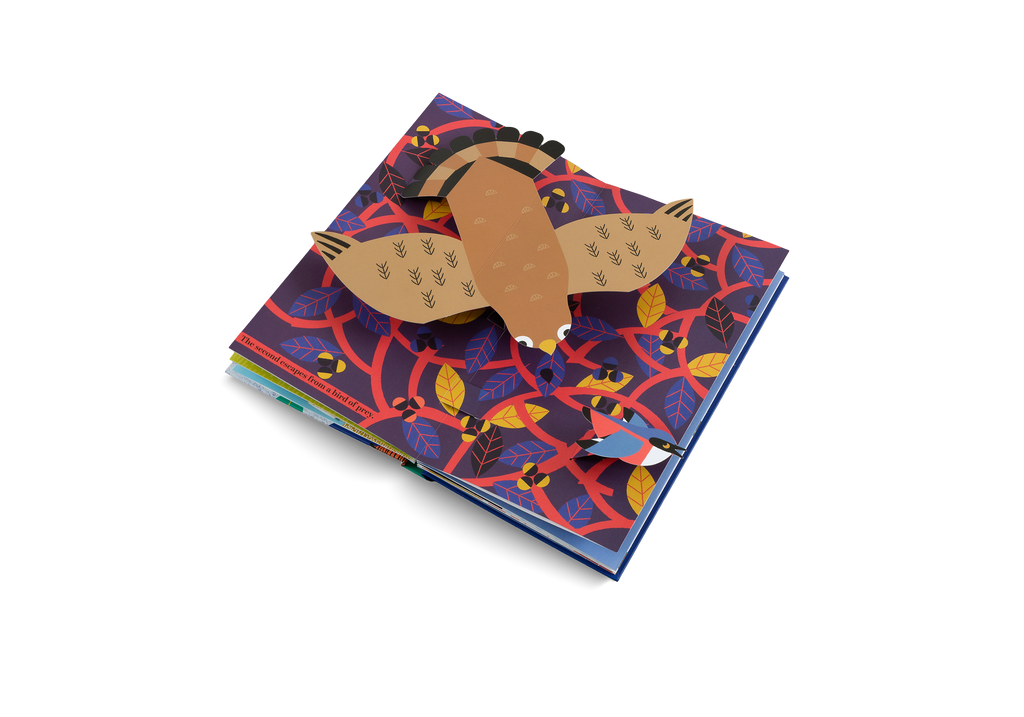 Six Little Birds Pop Up Book