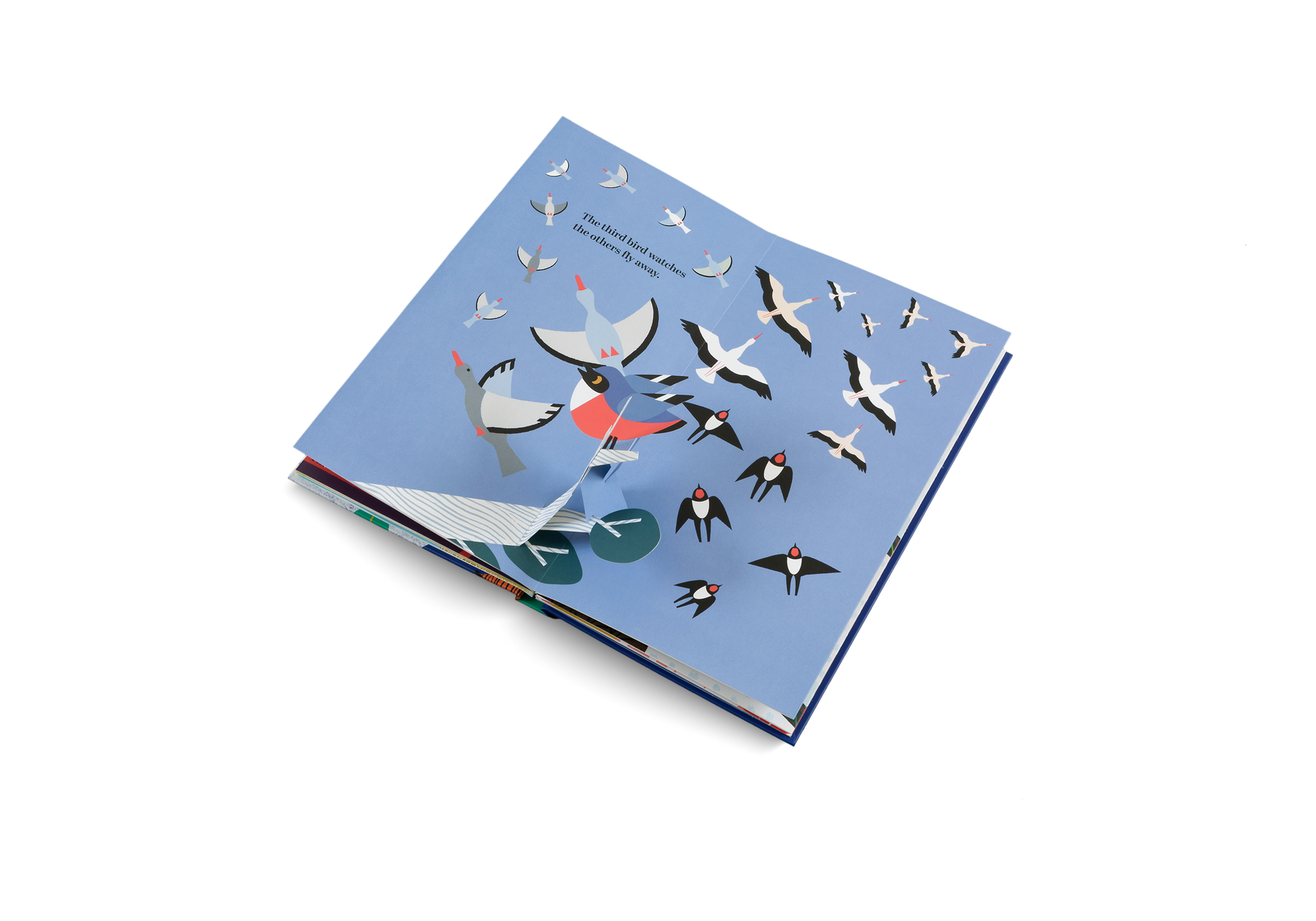 Six Little Birds Pop Up Book