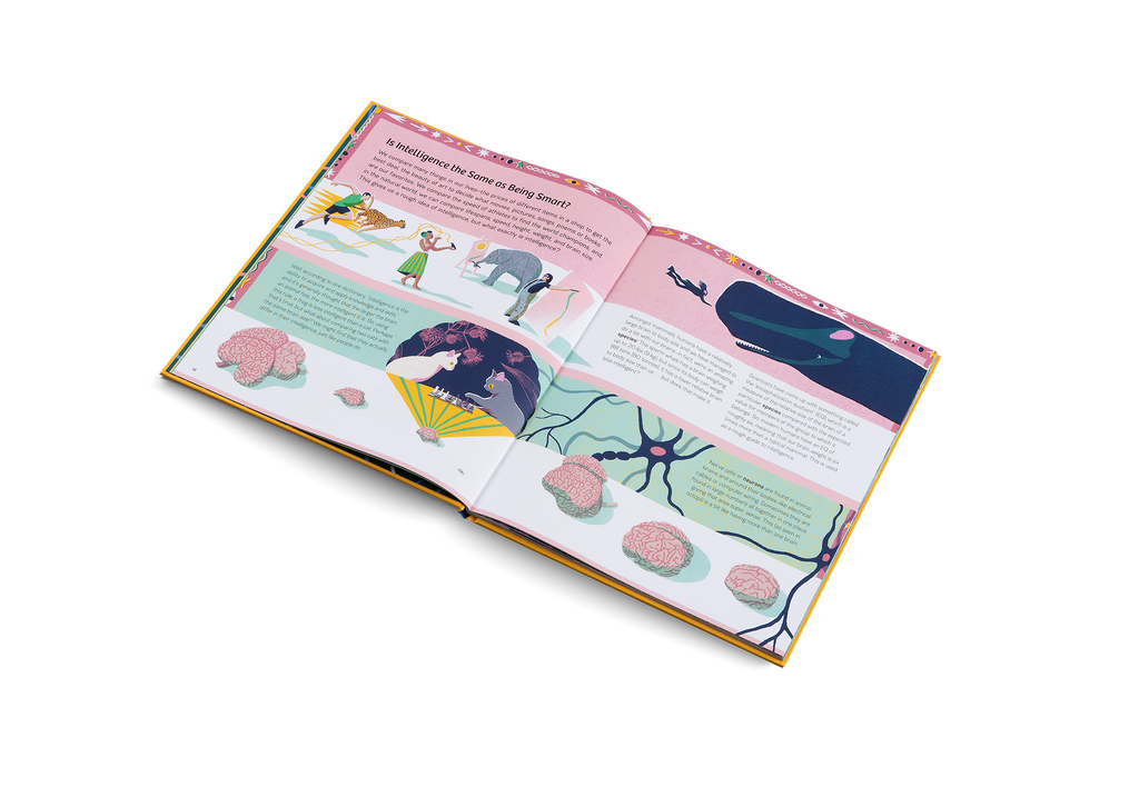 Smart Animals Clever Creatures in the Animal Kingdom