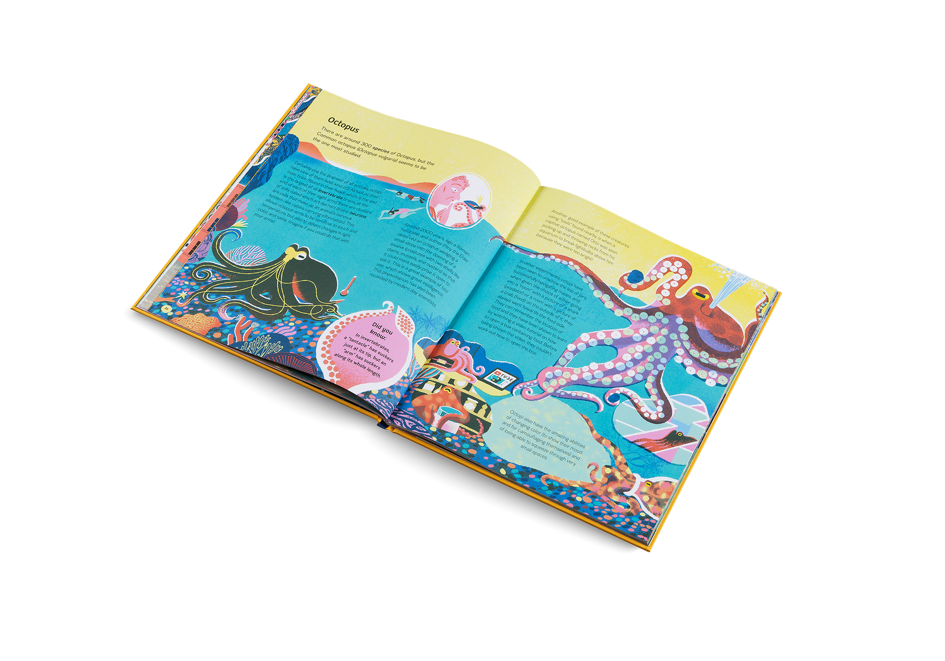 Smart Animals Clever Creatures in the Animal Kingdom