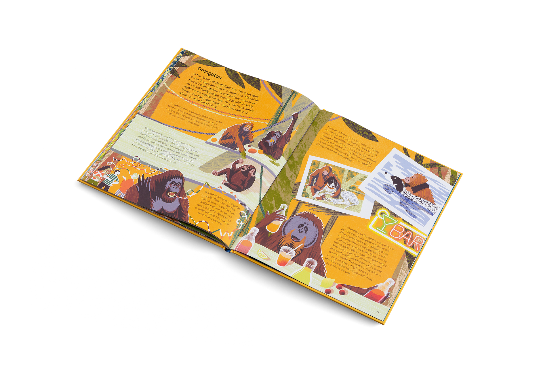 Smart Animals Clever Creatures in the Animal Kingdom