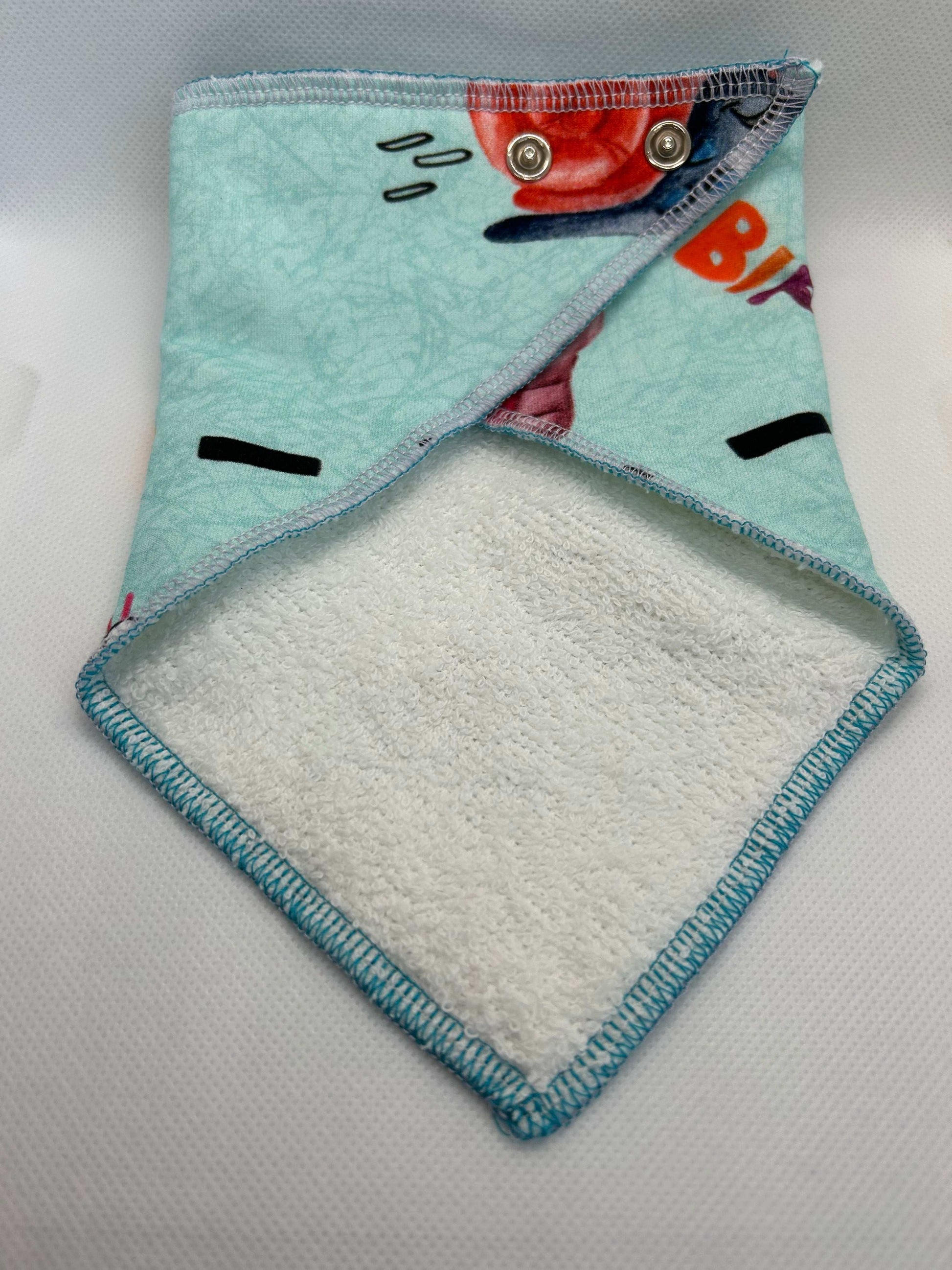 Zooming Snails Dribble Bib