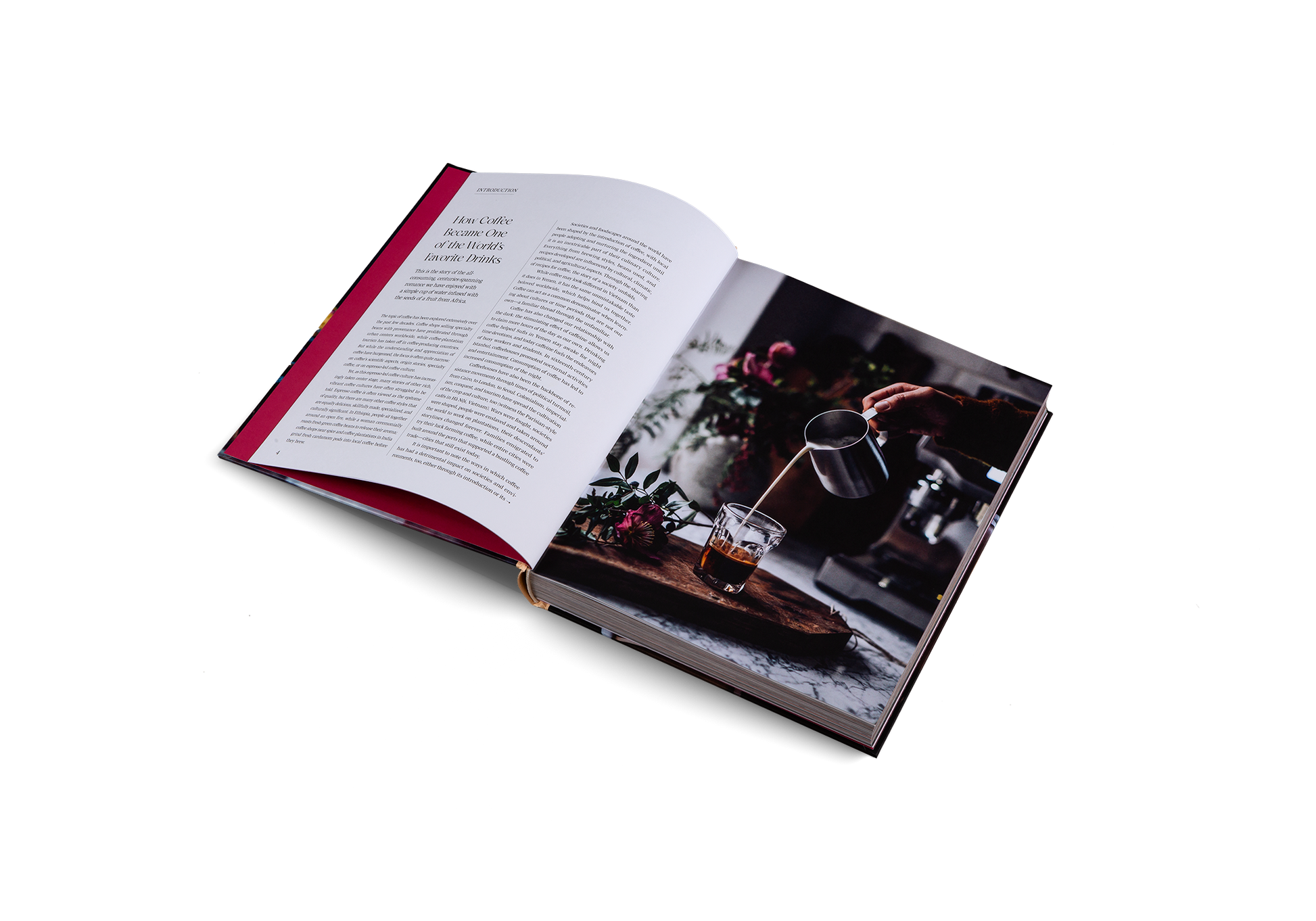 Spill the Beans Updated Edition Global Coffee Culture and Recipes