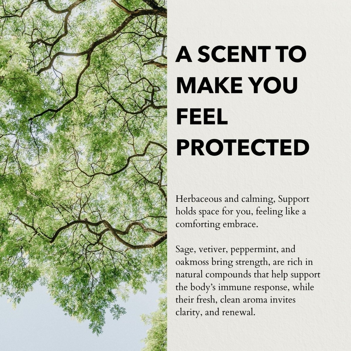 Support Functional Parfum 10ml