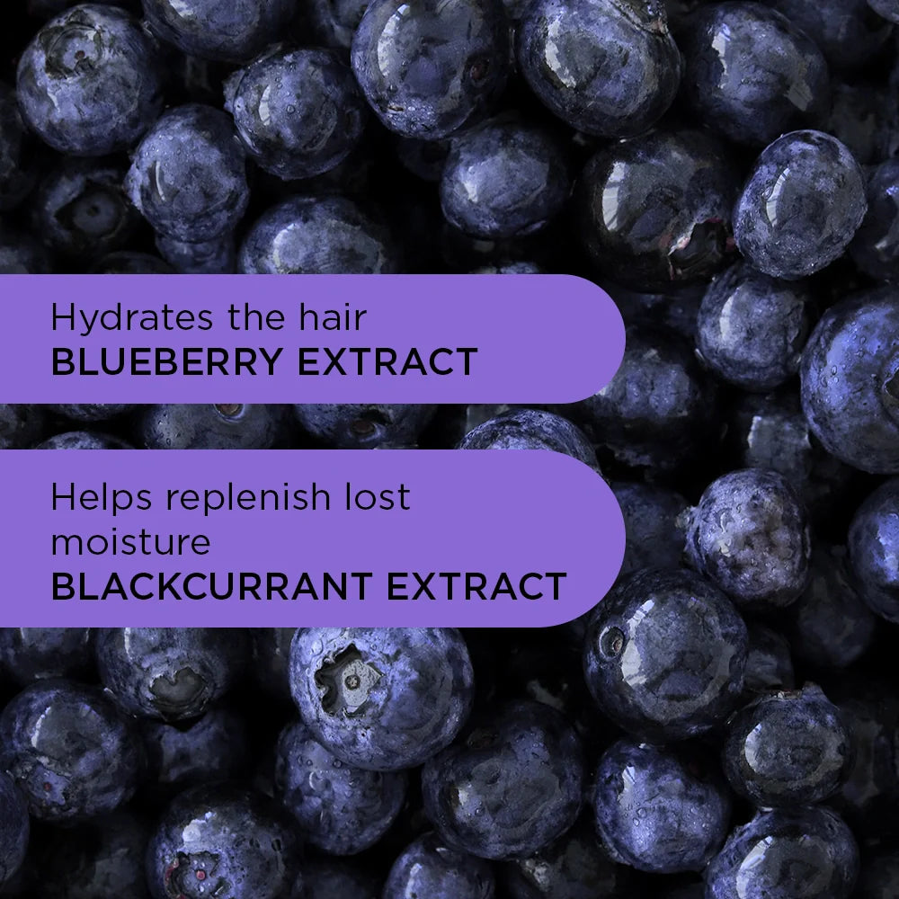 Purple Reign Shampoo for Blonde and Silver Hair