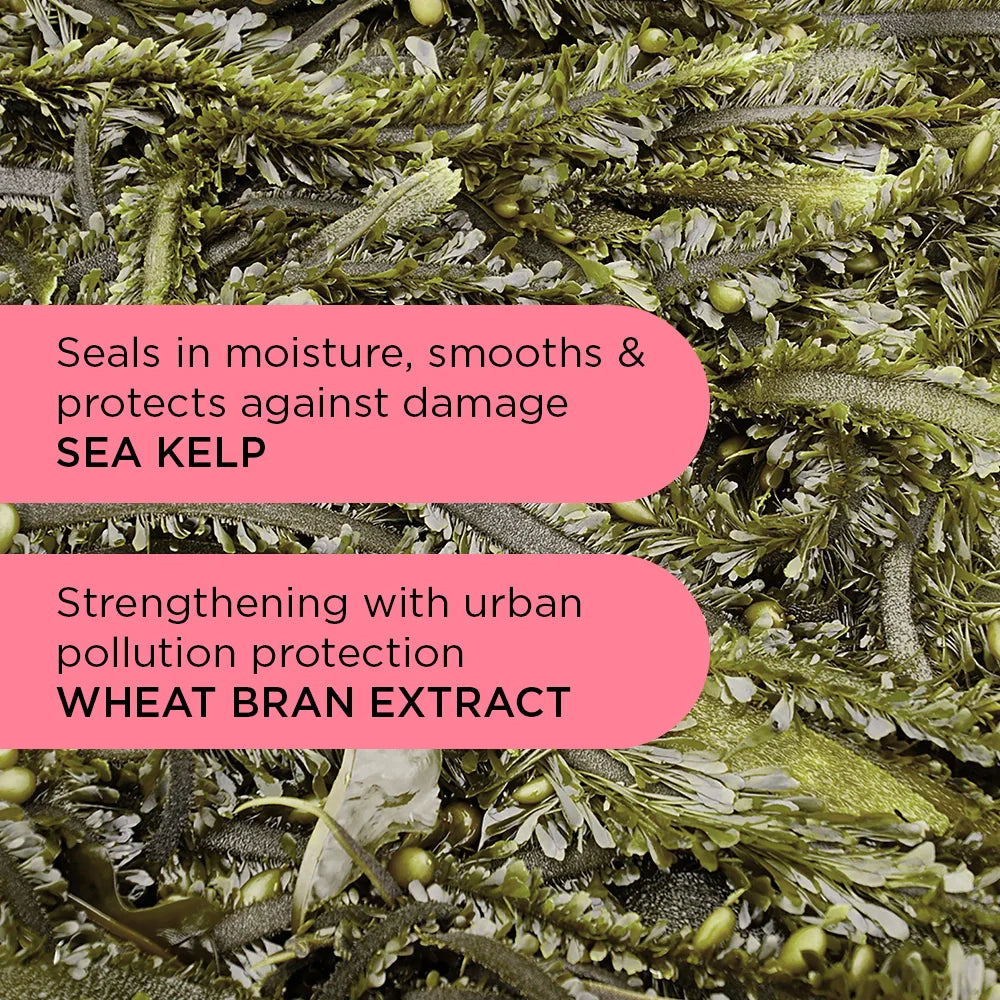 Spring Back Curl Gel Creme 200ml