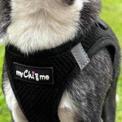 Step In Air Mesh Harness for Puppies and Small Dogs in Black