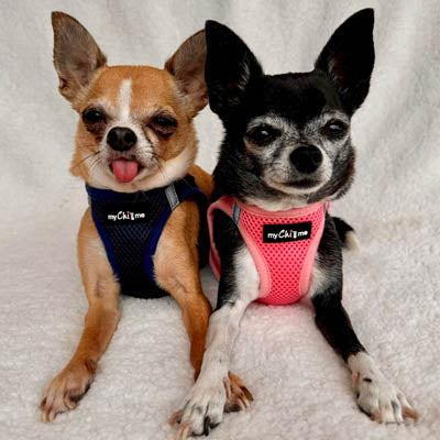 Tiny Trails Step In Air Mesh Puppy and Small Dog Harness in Pink