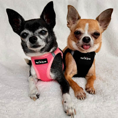 Tiny Trails Step In Air Mesh Puppy and Small Dog Harness in Pink