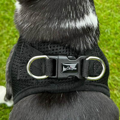 Step In Air Mesh Harness for Puppies and Small Dogs in Black