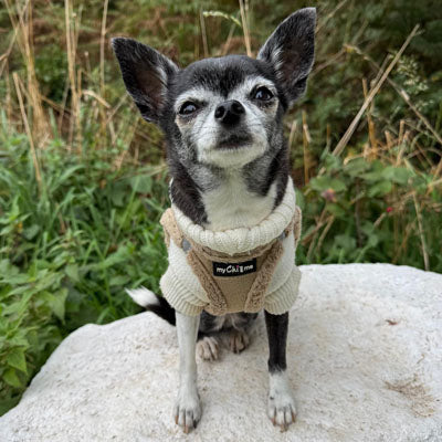 Step In Soft Touch Suede Faux Fur Lined Puppy and Small Dog Harness Caramel