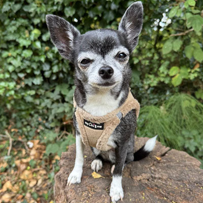 Step In Soft Touch Suede Faux Fur Lined Puppy and Small Dog Harness Caramel