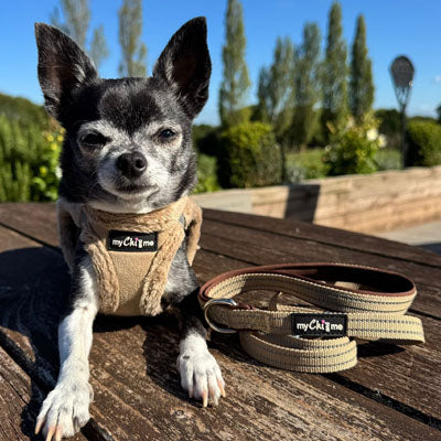 Step In Soft Touch Suede Faux Fur Lined Puppy and Small Dog Harness Caramel