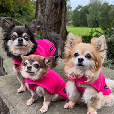 Tiny Toastie Water Repellent Fleece Dog Coat in Hot Pink