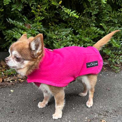 Tiny Toastie Water Repellent Fleece Dog Coat in Hot Pink