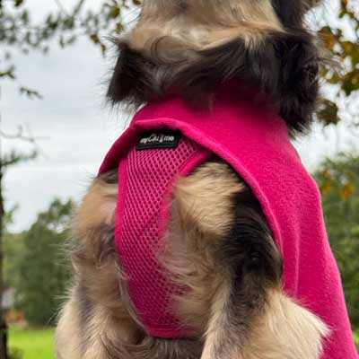 Tiny Toastie Water Repellent Fleece Dog Coat in Hot Pink