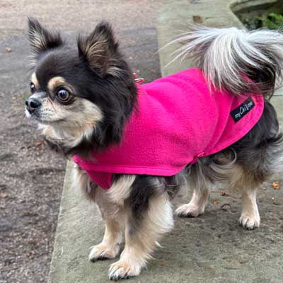 Tiny Toastie Water Repellent Fleece Dog Coat in Hot Pink