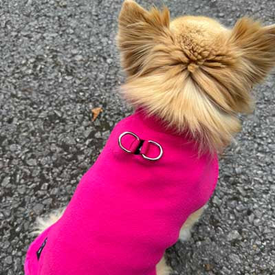Tiny Toastie Water Repellent Fleece Dog Coat in Hot Pink