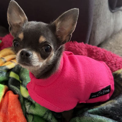 Tiny Toastie Water Repellent Fleece Dog Coat in Hot Pink