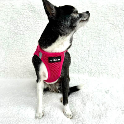 Tiny Trails Step In Air Mesh Puppy and Small Dog Harness in Hot Pink